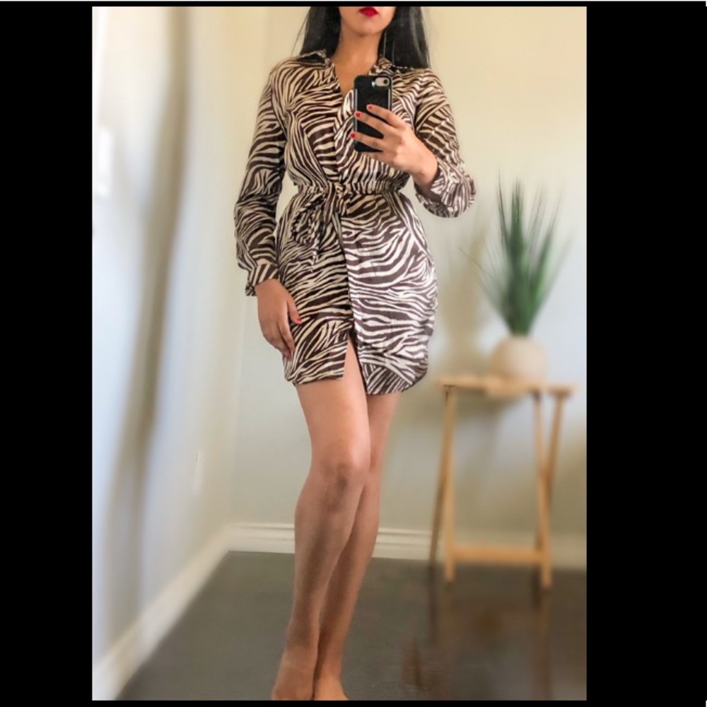 Brown Zebra Dress